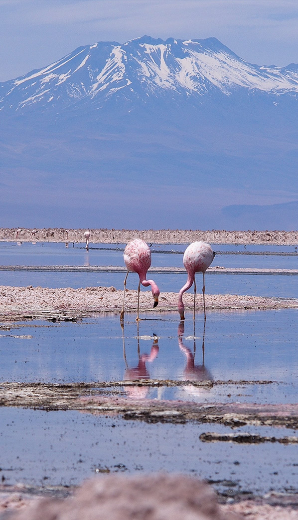 San Pedro de Atacama