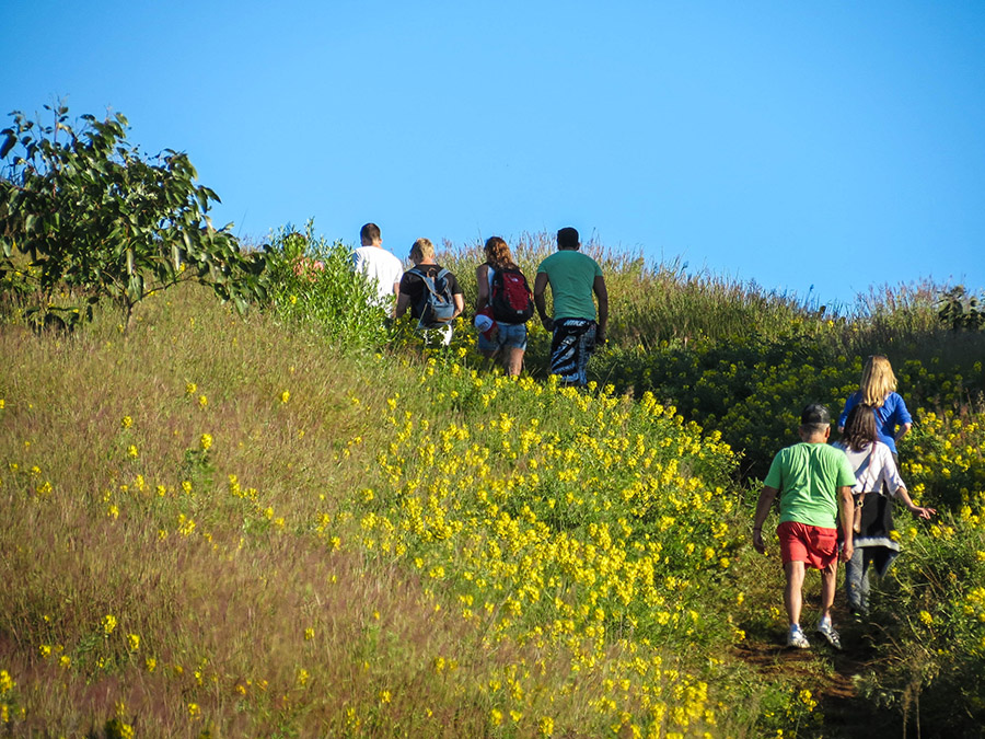 tours and travel in chile, Isla de Pascua - 0
