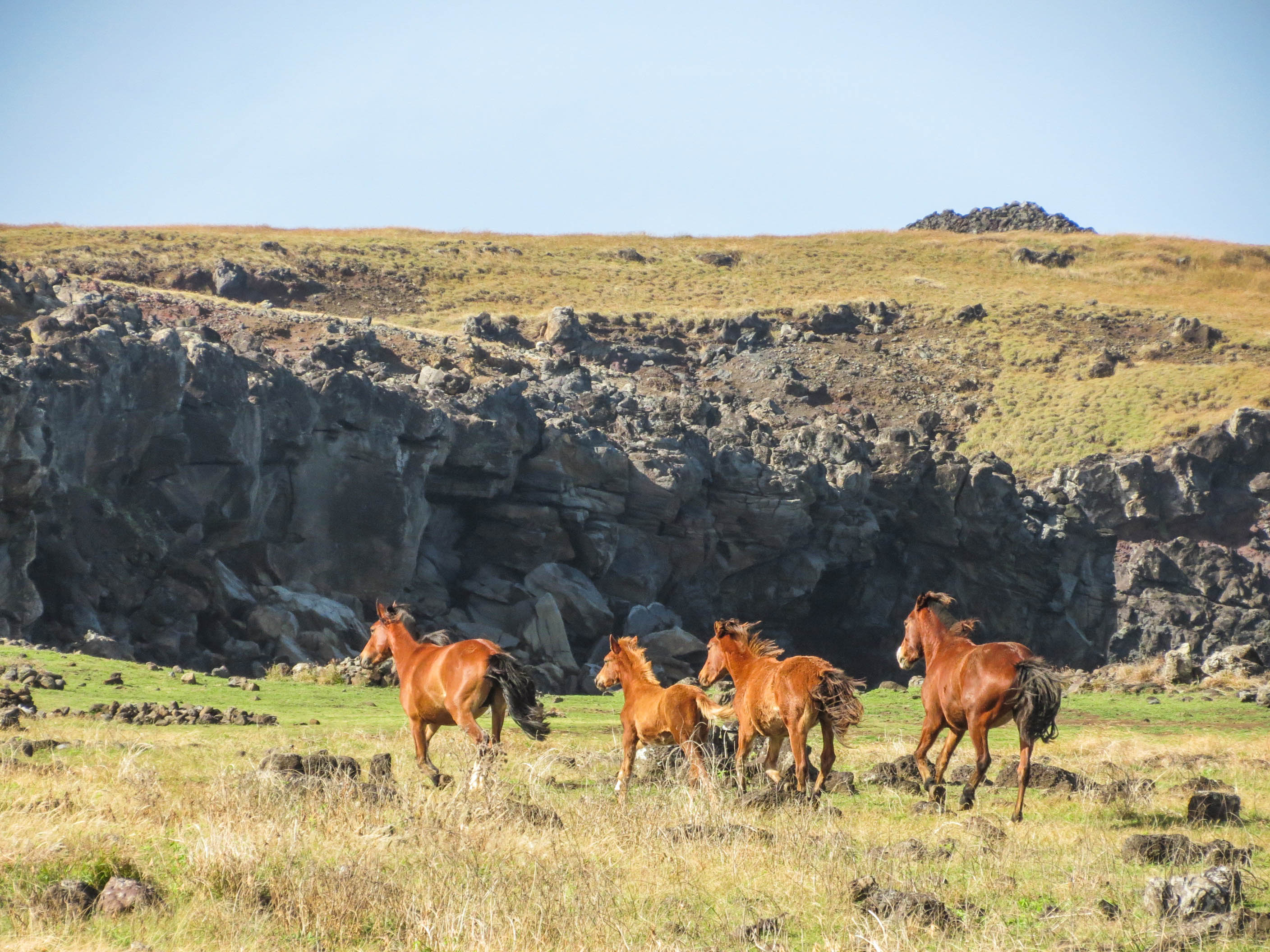 tours and travel in chile, Isla de Pascua - 6
