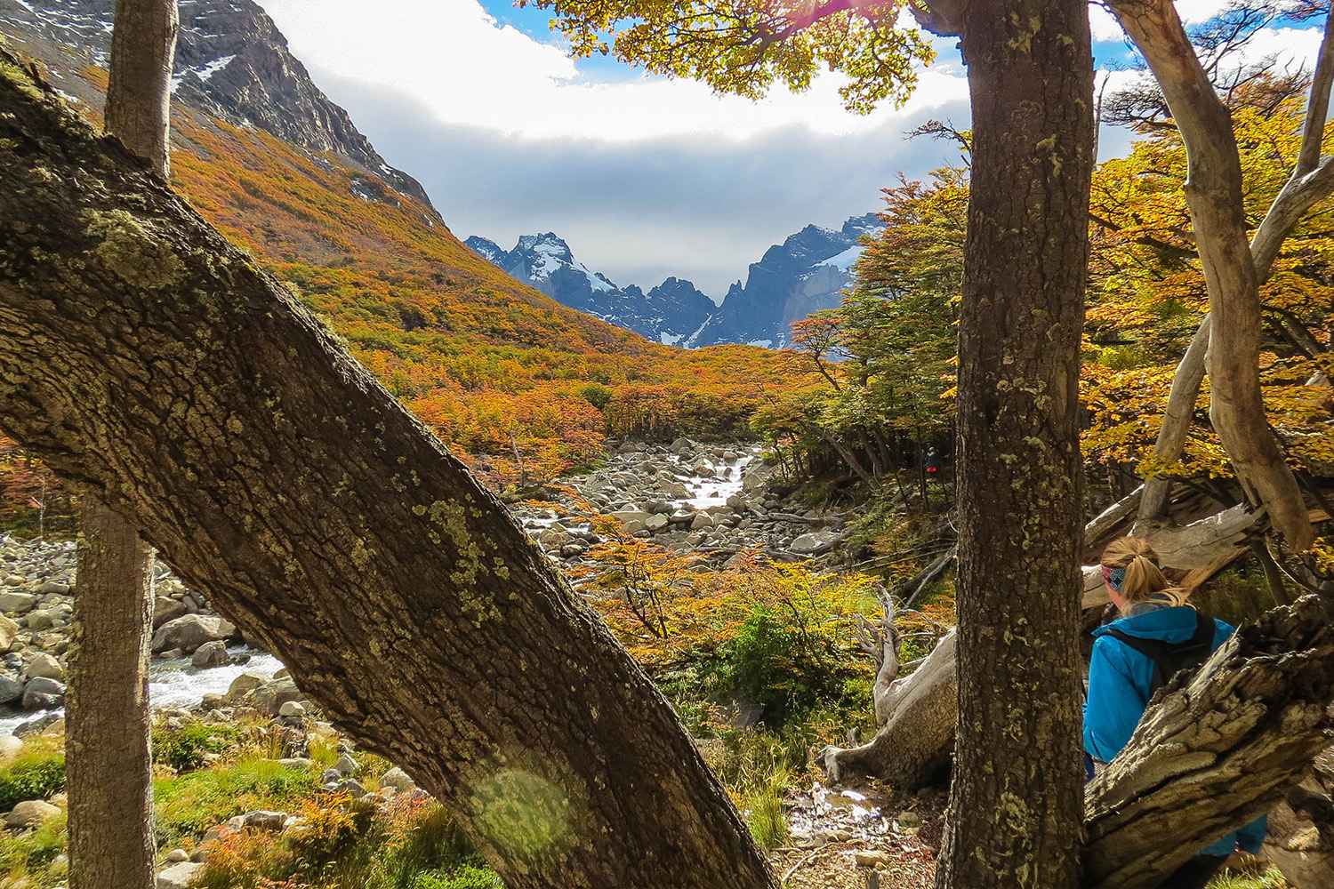 tours and travel in chile, Torres del Paine - 3