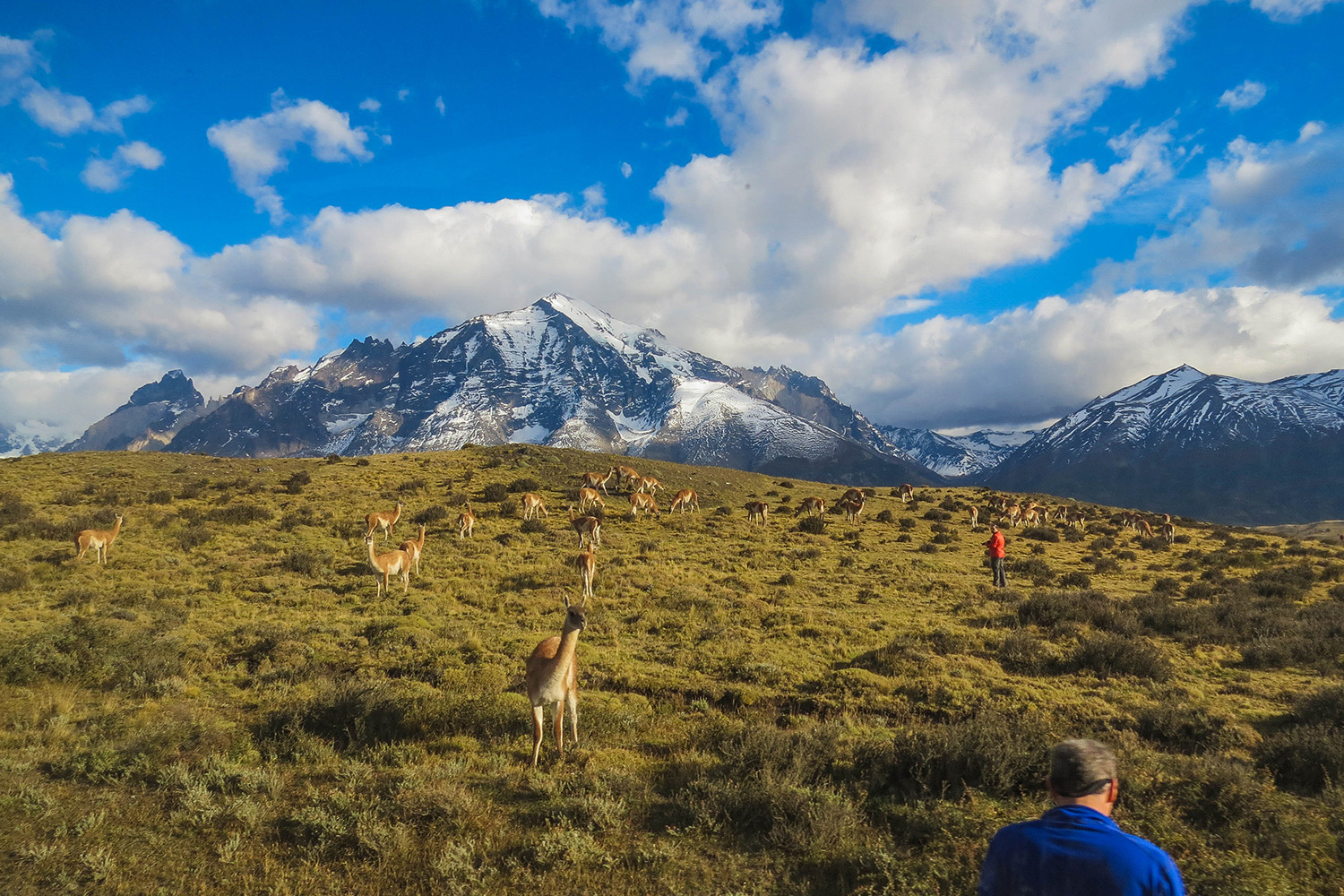 tours and travel in chile, Torres del Paine - 19