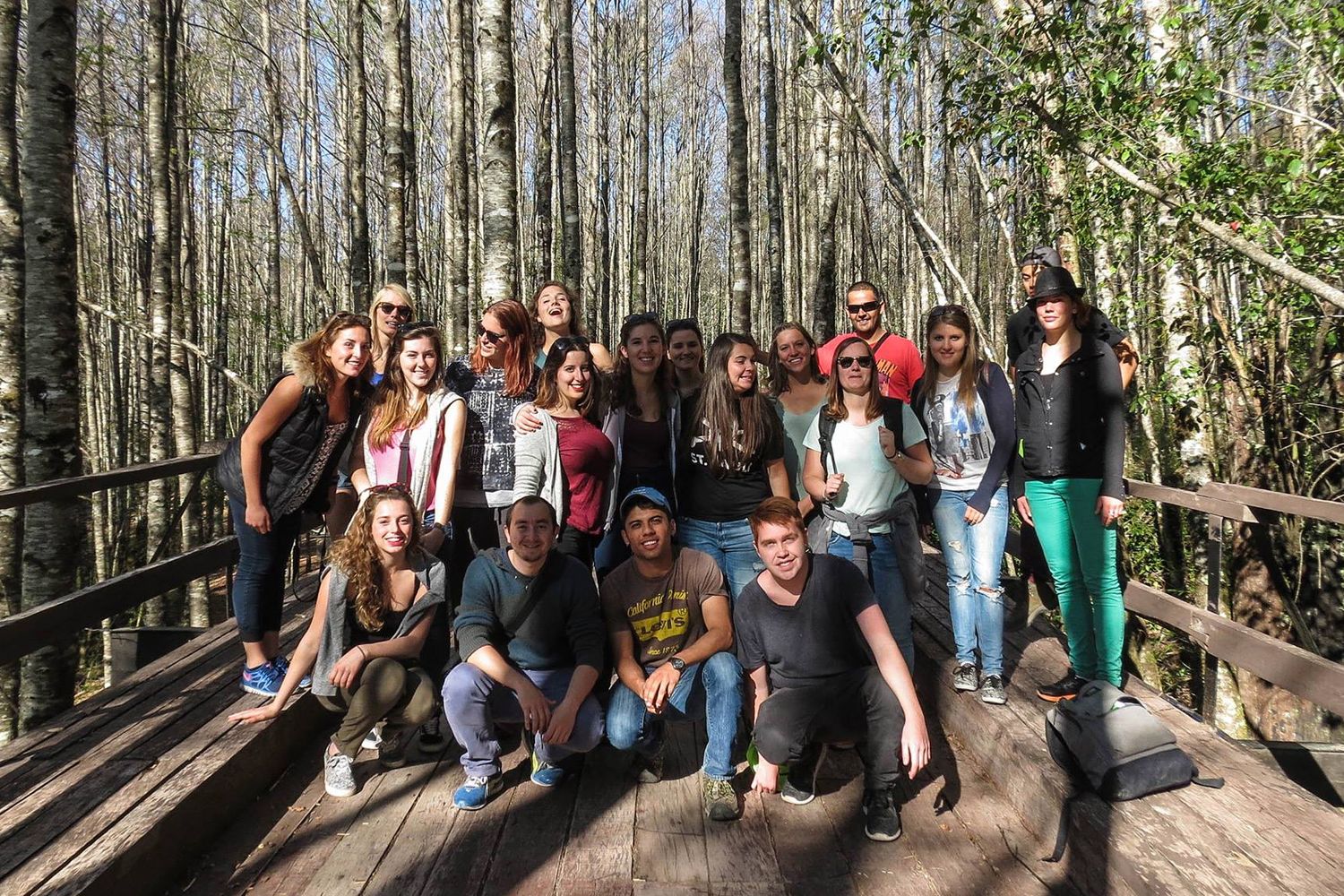 tours and travel in chile, Panguipulli - 4